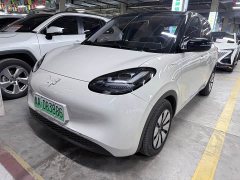 Wuling Binguo 333km Joy Edition - ფოტო 1