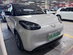 Wuling Binguo 333km Joy Edition - ფოტო 3