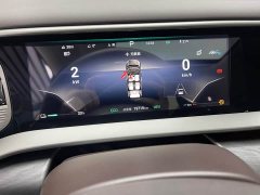 Denza BYD Denza D9 DM-i 1050 Premium - ფოტო 11
