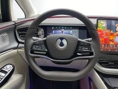 Denza BYD Denza D9 DM-i 1050 Premium - ფოტო 13