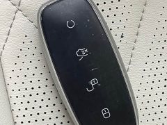 Denza BYD Denza D9 DM-i 1050 Premium - ფოტო 14