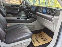 Leapmotor Leapo C11 Pure Electric 500 Comfort Edition - ფოტო 5