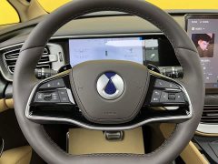 Denza BYD Denza D9 2025 DM-i Smart Drive 1020 AWD Luxury - ფოტო 13