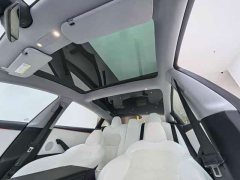 Tesla Model 3 2023 Rear-Wheel Drive - ფოტო 11