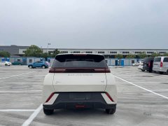 BYD Seagull Freedom Edition - ფოტო 7