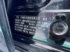 Tank 300 2.0T Conqueror - ფოტო 20