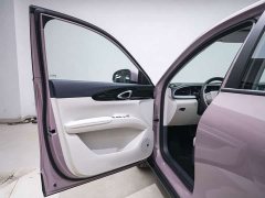 Geely Xing Yuan 310km Dream Edition - ფოტო 17