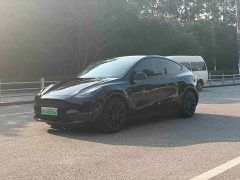 Tesla Model Y Standard Range RWD - ფოტო 1