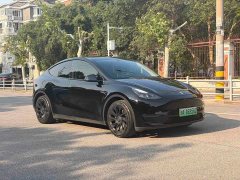Tesla Model Y Standard Range RWD - ფოტო 3