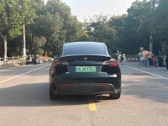 Tesla Model Y Standard Range RWD - ფოტო 8