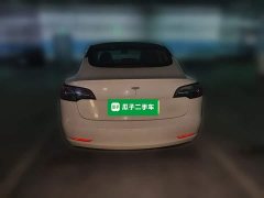 Tesla Model 3 2022 Rear-Wheel Drive - ფოტო 3