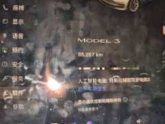 Tesla Model 3 2022 Rear-Wheel Drive - ფოტო 8