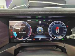 Tank 300 2021 Off-Road Edition 2.0T Conqueror - ფოტო 15