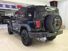 Tank 300 2021 Off-Road Edition 2.0T Conqueror - ფოტო 18