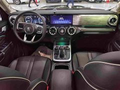 Tank 300 2021 Off-Road Edition 2.0T Conqueror - ფოტო 6