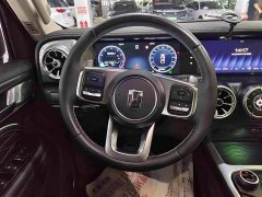 Tank 300 2021 Off-Road Edition 2.0T Conqueror - ფოტო 8