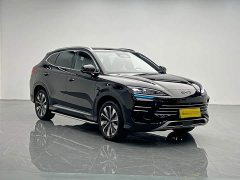 BYD Song Plus New Energy DM-i 112KM Luxury Edition - ფოტო 8