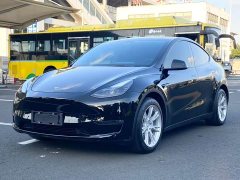 Tesla Model Y Standard Range RWD - ფოტო 1