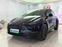 Tesla Model Y Standard Range RWD - ფოტო 1