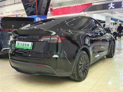 Tesla Model Y Standard Range RWD - ფოტო 14