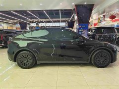 Tesla Model Y Standard Range RWD - ფოტო 17