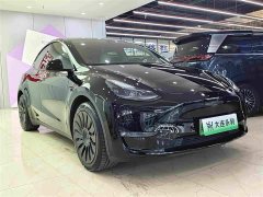 Tesla Model Y Standard Range RWD - ფოტო 3