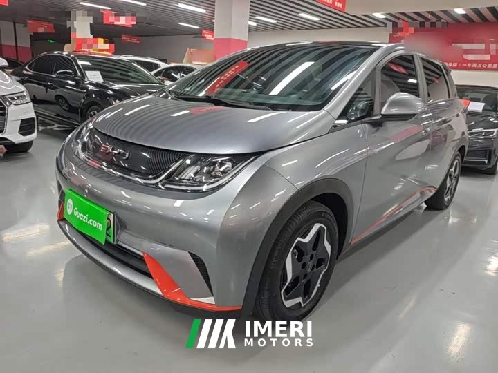 BYD Dolphin 405km Fashion Edition - ავტომობილი ჩინეთიდან