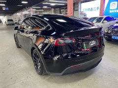 Tesla Model Y Long Range All-Wheel Drive - ფოტო 7
