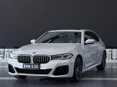BMW 5 Series 530Li Premier M Sport Package - ფოტო 1