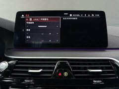 BMW 5 Series 530Li Premier M Sport Package - ფოტო 7