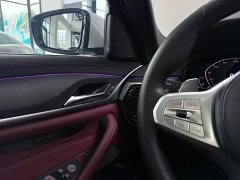 BMW 5 Series 530Li Premier M Sport Package - ფოტო 8
