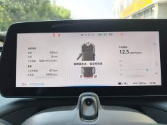 XPeng P7 480N - ფოტო 11