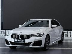BMW 5 Series 530Li Luxury M Sport Package - ფოტო 1