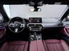 BMW 5 Series 530Li Luxury M Sport Package - ფოტო 10