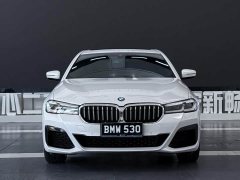 BMW 5 Series 530Li Luxury M Sport Package - ფოტო 2