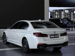 BMW 5 Series 530Li Luxury M Sport Package - ფოტო 4
