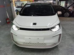 Flower Fairy 302km Fashion 31.4kWh - фото 2