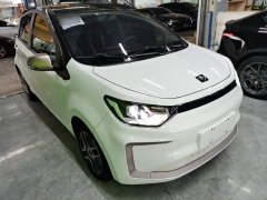 Flower Fairy 302km Fashion 31.4kWh - фото 3