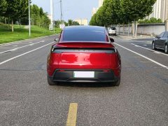 Tesla Model Y Rear-Wheel Drive - ფოტო 5