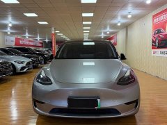 Tesla Model Y Rear-Wheel Drive - ფოტო 2