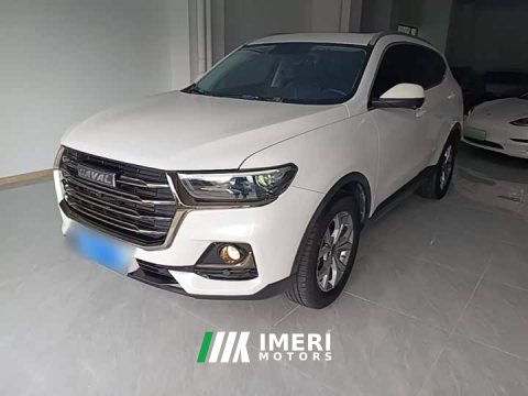 2021 Haval H6 National Trend 1.5T Automatic Champion Edition - ავტომობილი ჩინეთიდან