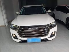 Haval H6 National Trend 1.5T Automatic Champion Edition - ფოტო 2