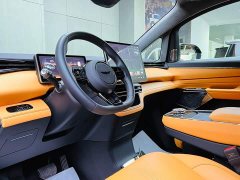 Wing Zhen Yizhen L380 805km Flagship Edition Four-Wheel Drive - ფოტო 8