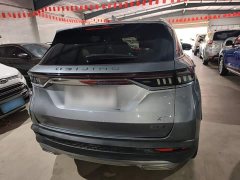 Beijing X7 2020 1.5T Diesel DCT Leading Edition - ფოტო 5