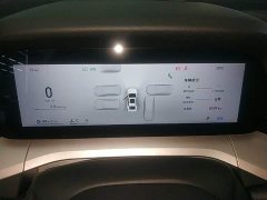 Geely Xingrui 2026 Oriental Radiance 2.0T Diesel Moonlight Edition - ფოტო 11