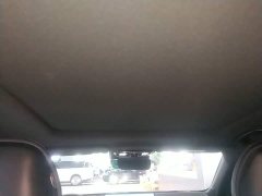 Geely Xingrui 2026 Oriental Radiance 2.0T Diesel Moonlight Edition - ფოტო 17