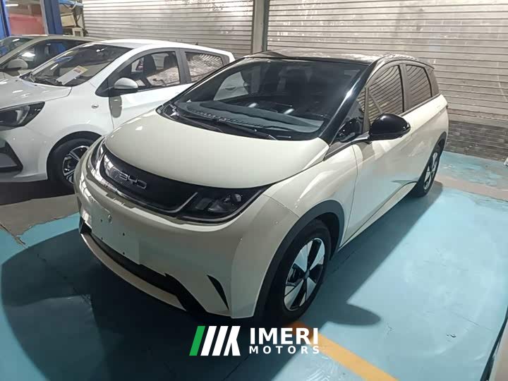 BYD Dolphin 420km Freedom Edition - ავტომობილი ჩინეთიდან