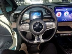 BYD Dolphin 420km Freedom Edition - ფოტო 10