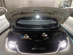BYD Dolphin 420km Freedom Edition - ფოტო 19