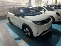 BYD Dolphin 420km Freedom Edition - ფოტო 3